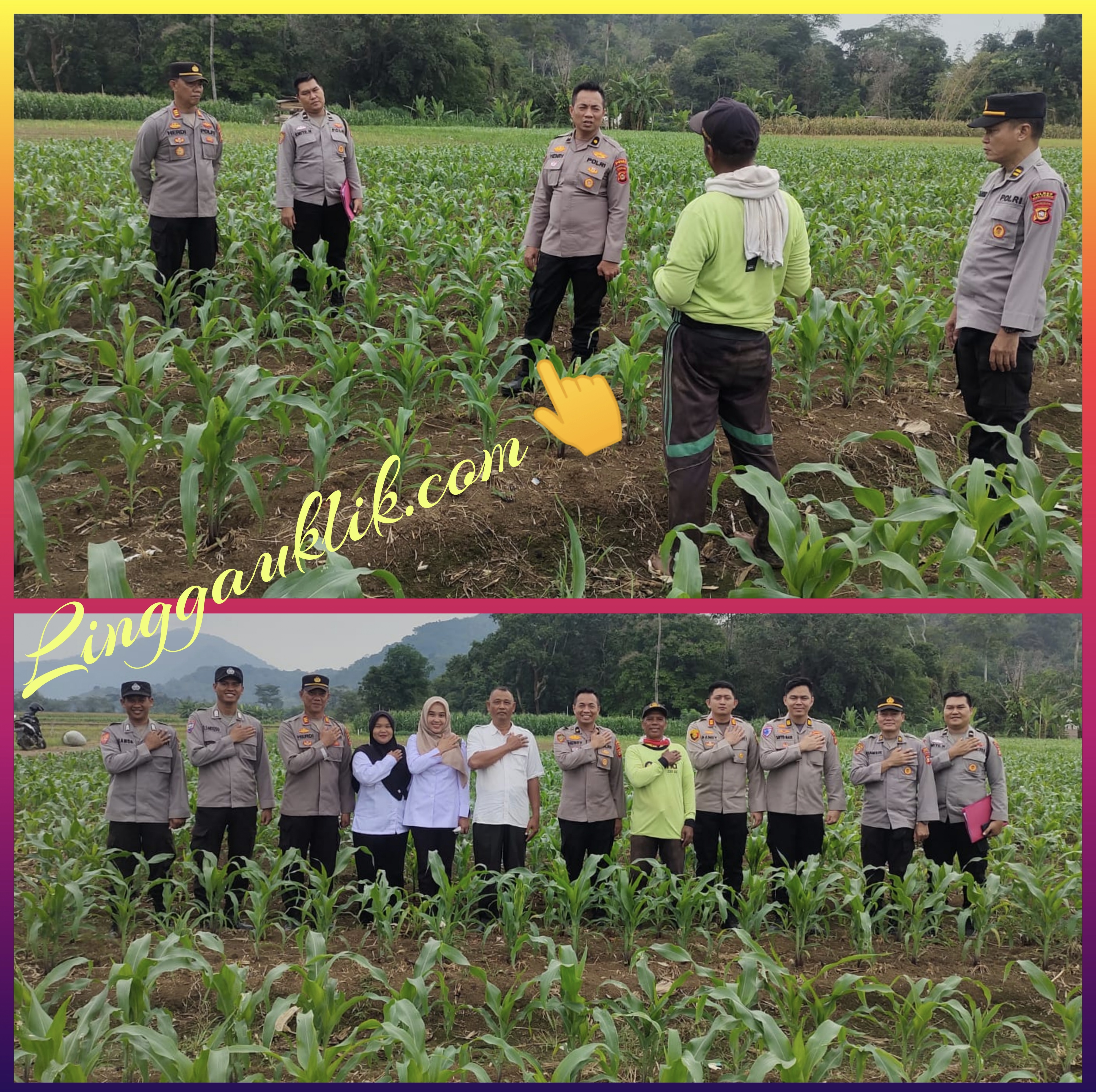 Polsek Purwodadi Dampingi Tim Polda Sumsel Gelar Supervisi dan Verifikasi Lahan Swasembada Jagung di Desa O Mangunharjo
