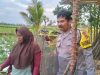 Polsek Muara Beliti Sambang Silaturahmi dengan Petani, Dukung Program Ketahanan Pangan dan Pekarangan Bergizi