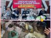 Berawal dari Penangkapan di Palembang, Ladang Ganja 20 Hektar di Batu Jungul Digulung Polisi