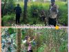 Polsek Jayaloka Bersama Tim Gabungan Survei Lokasi Pemasangan Perangkap Beruang Madu di Sukakarya