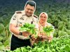 Dukung Ketahanan Pangan, Kalapas Narkotika Muara Beliti Herdianto Bersama Dharma Wanita Panen Pakcoy